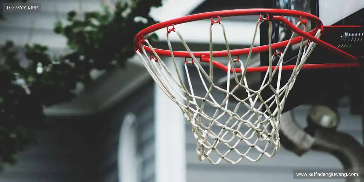 💪专业装备,品质之选!🏋️提升性能,超越自我!